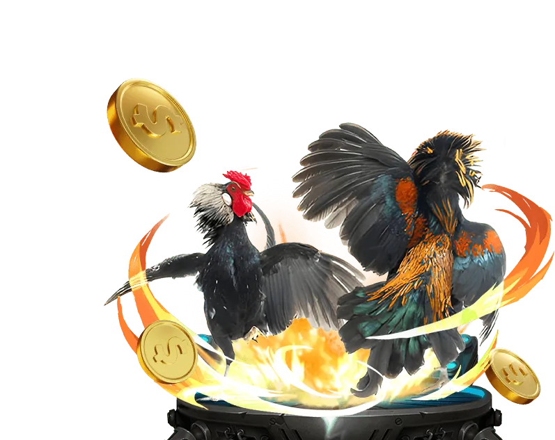 Hướng dẫn cá cược đá gà 33win bet